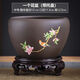 賞福紫砂花盆特價(jià)清倉(cāng)四方形蝴蝶蘭菖蒲蘭花狀元荷綠植盆栽大號(hào)多肉盆 達(dá)盛-喜上眉梢紫砂單個(gè)帶底座 陶瓷【尺寸看圖別買(mǎi)小了】