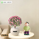 歐芽  綠植室內(nèi)小盆栽面發(fā)財(cái)樹易活四季懶人養(yǎng)的花植物幼兒園 金枝玉葉+白胖吸水盆+鋪面石