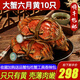 【活蟹】陽澄清歆大閘蟹 鮮活特大螃蟹公蟹母蟹 海鮮水產(chǎn)生鮮禮盒 精品六月黃3.0-3.3兩 十只禮盒裝