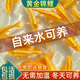 西洲曲黃金錦鯉活魚招財(cái)魚金魚活魚好養(yǎng)耐活冷水魚魚苗練手小金魚觀賞魚 5-6cm黃金錦鯉 4條送2備損