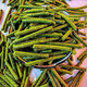 烘干提摩西草顆粒兔子糧兔兔荷蘭豬糧食純提摩西烘干草龍貓膨化 純烘干提摩西草顆粒100g試吃