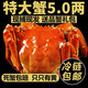 【活蟹】六月黃大閘蟹鮮活公母大螃蟹現(xiàn)貨陽澄鎮(zhèn)發(fā)河蟹禮盒含繩重 【六月黃2.3-2.0兩】12只 只只精選 黃多肉滿 無黃死蟹包賠