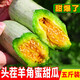 羊角蜜甜瓜 現(xiàn)摘孕婦水果新鮮應(yīng)季水果瓜脆瓜香瓜超甜整箱 5斤整箱 脆甜多汁