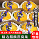 【順豐】當(dāng)季現(xiàn)摘燕窩果 新鮮海南/廣西麒麟果 黃金火龍果水果 【2斤/單果2~3兩】小果禮盒