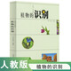 大自然識別叢書：植物的識別