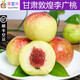 果郡猴甘肅敦煌特產(chǎn)李廣桃當(dāng)季現(xiàn)摘青皮離核紫胭桃脆甜孕婦新鮮水果整箱 5斤精品特大果禮盒裝【力薦】