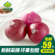 小湯山 紫洋蔥 約450g 新鮮蔬菜安全可追溯北京農(nóng)場(chǎng)順豐到家
