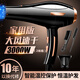 飛利浦（PHILIPS）同款發(fā)廊專(zhuān)用吹風(fēng)機家用2200w負離子護發(fā)理發(fā)店大功率2000w速干吹風(fēng)筒 家用2000w-純銅交流電機-2米線(xiàn)-