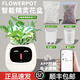 IVY情緒綠植萌寵機(jī)器人智能花盆栽桌搭擺件創(chuàng)意男生生日禮物女生 白色+送植物