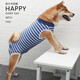 aipetofstory狗狗絕育服 寵物中大型犬絕育手術(shù)服透氣公狗狗夏季術(shù)后衣服M