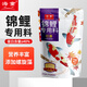 海童（KAIDO）錦鯉飼料魚(yú)食金魚(yú)專(zhuān)用魚(yú)飼料蝴蝶鯉魚(yú)糧增色增艷增體增肥上浮魚(yú)糧 育成2#500g(適合5-10cm錦鯉)
