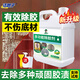 潔娘子（JIENIANGZI）強(qiáng)力除膠劑家用粘黏膠去除劑多功能不干膠去除劑清除瓷磚玻璃膠漬 【單桶裝】多功能除膠劑-5斤