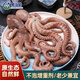 果匯堂八爪魚(yú)海鮮鮮活水產(chǎn)冷凍小章魚(yú)迷你八抓魚(yú)章魚(yú)足長(cháng)腿大爆頭 一斤裝