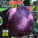 甘肅黑卡蘋果黑鉆蘋果新鮮稀有水果9斤包郵整箱粉面香甜花牛蘋果 3斤 實(shí)惠裝