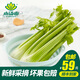 小湯山 西芹 約750g 新鮮蔬菜基地種植當(dāng)天采摘99元包順豐