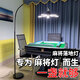 好萊仕打麻將專用落地燈一盞就夠客廳臥室燈書房創(chuàng)意簡約麻雀閱讀釣魚燈 麻將燈一盞就夠五福臨門款120瓦