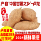 顏曼箐河北紅薯行唐老品種盧龍地瓜北京553紅薯黃皮紅薯烤紅薯甜糯 5斤 小果  3-5個(gè)/斤