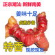 獨(dú)愛（DUAR）廣東潮汕南姜 野山姜 高良姜 新鮮蔬菜 老姜 偏硬 有些偏黃 5斤 裝