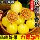 百香果黃金果廣西欽蜜9號黃金百香果9號新鮮白香果當季生鮮水果 5斤裝 大果【7-9個(gè)/斤】