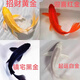 招財進(jìn)寶中國紅錦鯉金魚(yú)活體冷水觀(guān)賞魚(yú)草金魚(yú)小型寵物好養耐活 黑黃白紅6-8cm各一條