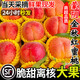 金秋紅蜜桃大果晚西妃水蜜桃子現摘大當季新鮮水果孕婦脆甜鮮桃SS 1斤單果【單果200g士】順豐快遞