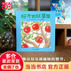 好大的紅蘋(píng)果（0-3歲） 信誼寶寶起步走