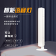 智能語音床頭燈小夜燈學(xué)習(xí)臺(tái)燈usb護(hù)眼臥室床頭LED聲控?zé)艏矣瞄喿x 白色