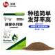 漢洋（ WATERWEEDS INDUSTRY）迷你小對葉種子水草魚缸種籽造景活體真水草水族養(yǎng)魚用品10g