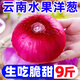 云南紫皮水果大洋蔥9斤新鮮小洋蔥甜味生吃蔬菜不辣紅皮大圓蔥頭 9斤 【裝】新鮮現(xiàn)挖b