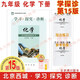 2025春學習探究診斷 九年級化學下冊九下 第15版 北京西城學探診初中同步練習初三9年級九化下