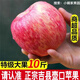 正宗山西吉縣蘋(píng)果壺口蘋(píng)果冰糖心蘋(píng)果新鮮紅富士蘋(píng)果 80mm大果整箱5-5.5斤12顆左右