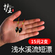 護(hù)王淺水短漂超醒目高靈敏納米鯽魚漂草洞溪流小白條魚漂小魚冰釣浮漂 BD-01-0號(hào)【吃鉛0.35g-長(zhǎng)8.5cm】 淺水漂短漂【2支裝】