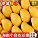 粵品海南小臺農(nóng)芒果2025新鮮 農(nóng)家種植甜芒果廣西臺芒 小臺農(nóng)3斤裝（大小隨機） 小臺農(nóng)