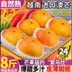 精品超選 8斤越南澳芒新鮮芒果特大果當(dāng)季時令高端水果10 A+級商超巨無霸單果0.9-1.2斤，香甜可口，濃 4.5斤