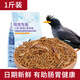 花卷寶寶鳥(niǎo)糧八哥飼料鳥(niǎo)飼料營(yíng)養鷯哥鳥(niǎo)食海八黑八專(zhuān)用八哥糧鳥(niǎo)料八哥飼料 1斤