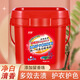 軒念多效去漬皂粉加留香珠多功能去頑固污漬國貨大桶裝 桶/2.5kg 2.5kg 1桶