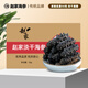 趙家淡干海參50g16-35只 紅島底播刺參 干貨 佛跳墻餛飩水餃餡更佳 