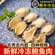 一米漁新鮮冷凍鮑魚肉500g活凍去殼去內(nèi)臟深海鮑魚肉佛跳墻材料海鮮商用 新鮮鮑魚肉500g約130個(gè)（長約3厘米）