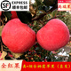 柳連河順豐新鮮水果正宗山東煙臺棲霞紅富士蘋(píng)果當季一箱脆甜10斤全紅果 全紅凈果10斤中果20-24個(gè)順豐