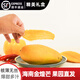 海南金煌芒果新鮮特大一級三亞特產(chǎn)水果當季整箱 8斤精品果(6-9個(gè))順豐 禮盒