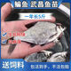 魚苗批發(fā)武昌魚苗淡水養(yǎng)殖食用扁魚苗三角魴團(tuán)頭魴邊魚苗超好養(yǎng)鳊 鳊魚3-5厘米50條送10%防損