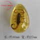 DR-FLVVS胖東來(lái)品質(zhì)琥珀昆蟲(chóng)標(biāo)本真昆蟲(chóng)琥珀兒童挖掘考古盲盒蟲(chóng)珀配件學(xué)生 金珀蝎子1個(gè)