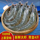鹿凌青特大號新鮮竹節(jié)蝦 黑虎蝦 斑節(jié)蝦 紅蝦 青蝦 白蝦 鹽凍大蝦 蝦類 大蝦 1800g(凈重)  14-16cm新日期