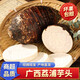 澤華果品（ZEHUAGUOPIN）廣西荔浦芋頭 現(xiàn)挖粉糯大香芋 新鮮蔬菜 荔浦芋頭凈重4.8-5斤6-8個(gè)裝