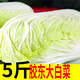 山東白菜新鮮蔬菜大白菜火鍋蔬菜農(nóng)家自種膠東5斤裝10 2500g