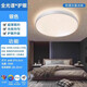 飛利浦（PHILIPS） 室內led吸頂燈 簡(jiǎn)約現代超薄臥室燈 餐廳書(shū)房頂燈家電照明燈具 全光譜星環(huán)星空|銀48W三色變光