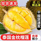 百橙戀泰國金枕榴蓮 進(jìn)口整個(gè)帶殼鮮果榴蓮生鮮整箱中秋送禮水果禮盒 精品金枕榴蓮 4-5斤【無(wú)禮盒】
