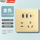 國際電工雙USB插座面板20W快充墻壁無需充電頭Type-c家用五孔插座快充面板 五孔2.1A雙USB+type-c【金色】