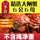 活蟹大閘蟹3兩特大全母蟹去繩足重興化紅膏蟹現(xiàn)貨鮮活海鮮水產(chǎn) 精選1.5-1.2兩12只【6公6母】