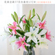 迷.妝 假花高支百合花仿真花束單支客廳電視柜餐桌裝飾品仿真花套裝花 3白色3粉色-香水百合（不含花瓶）